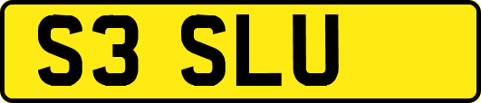 S3SLU
