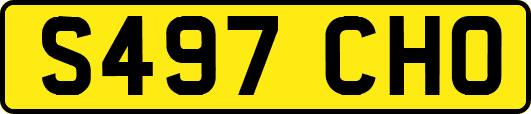 S497CHO
