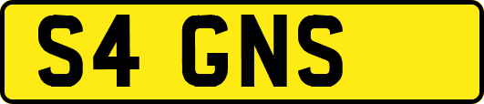 S4GNS
