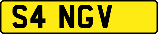 S4NGV