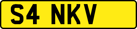 S4NKV