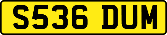 S536DUM