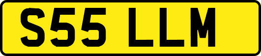 S55LLM