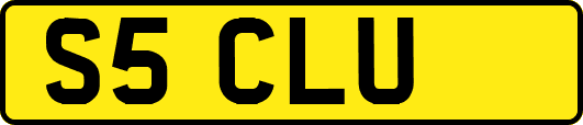 S5CLU