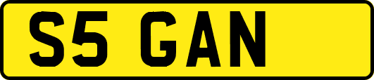 S5GAN