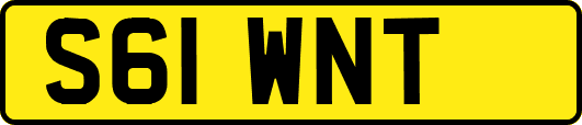 S61WNT