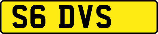 S6DVS