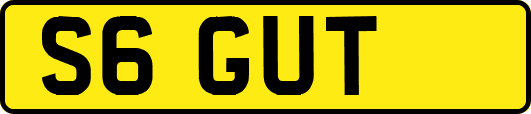 S6GUT