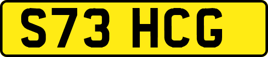 S73HCG