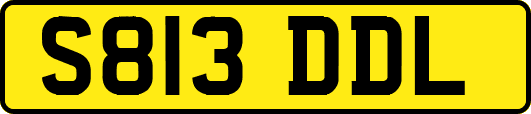 S813DDL