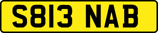 S813NAB