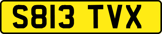 S813TVX