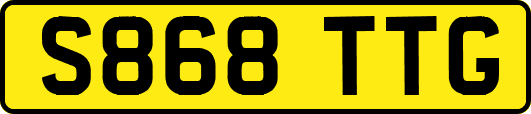 S868TTG