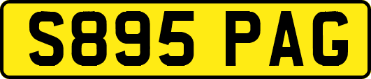 S895PAG