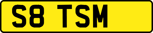 S8TSM