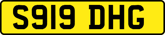 S919DHG