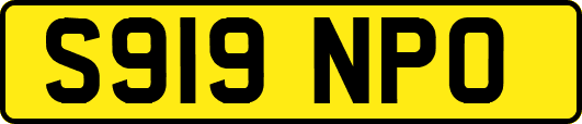S919NPO