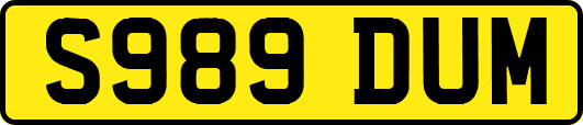 S989DUM