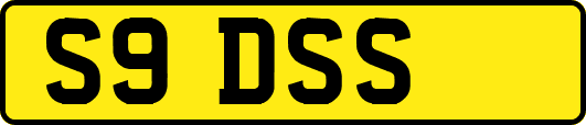 S9DSS