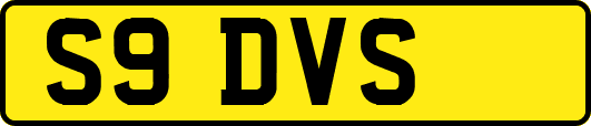 S9DVS