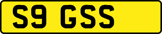 S9GSS
