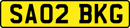 SA02BKG