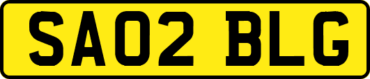 SA02BLG