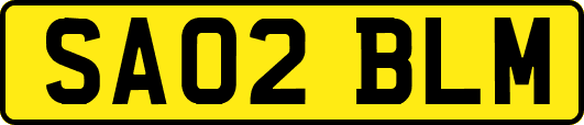 SA02BLM