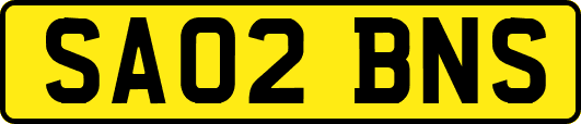 SA02BNS