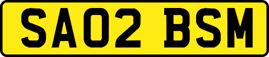 SA02BSM