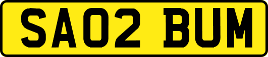 SA02BUM