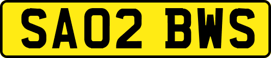 SA02BWS