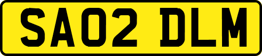 SA02DLM