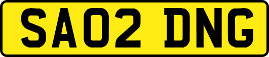 SA02DNG