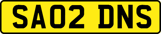 SA02DNS