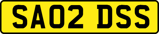 SA02DSS