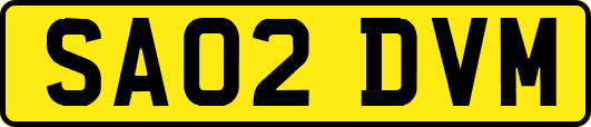 SA02DVM