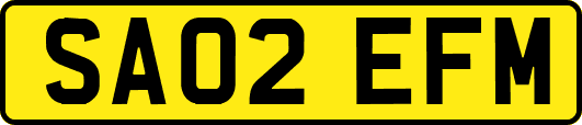 SA02EFM