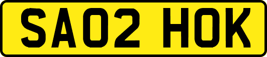 SA02HOK