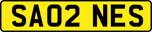 SA02NES