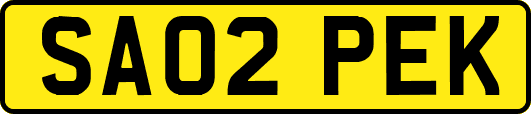 SA02PEK