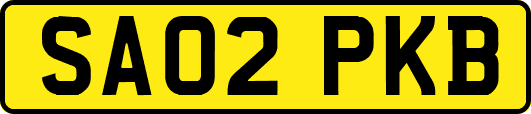 SA02PKB