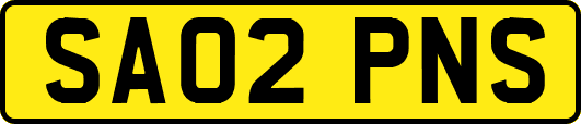 SA02PNS