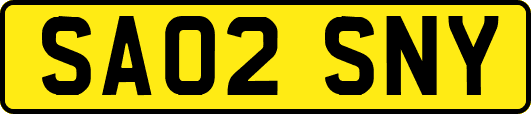 SA02SNY