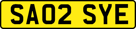 SA02SYE