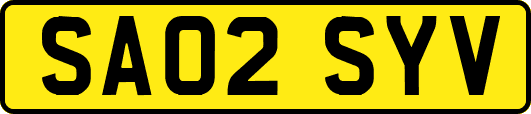SA02SYV