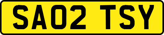 SA02TSY
