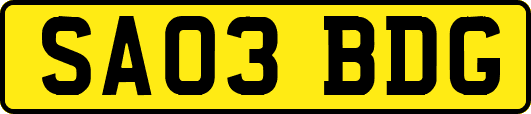 SA03BDG