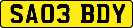 SA03BDY