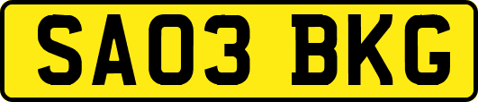 SA03BKG